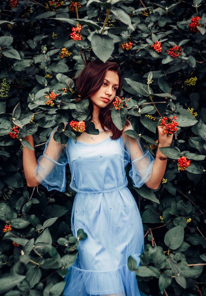 Летняя сказка