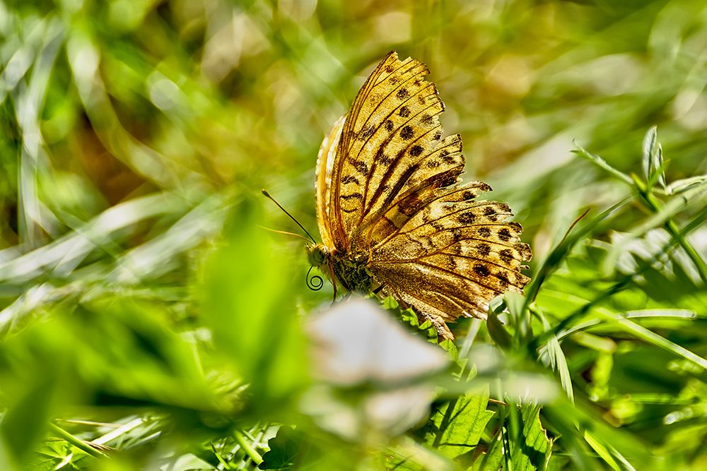 Фотография автора Игорь Иванов