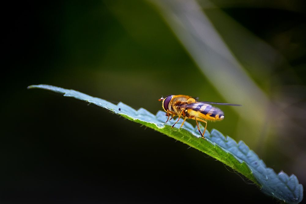 Фотография автора Игорь Иванов