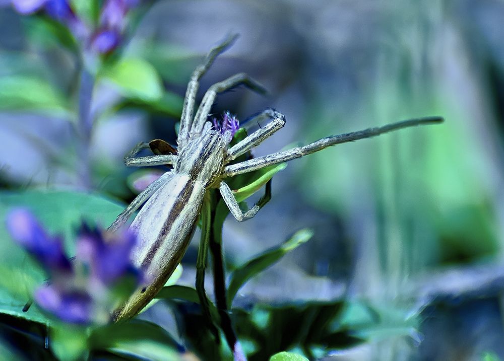 Фотография автора Игорь Иванов