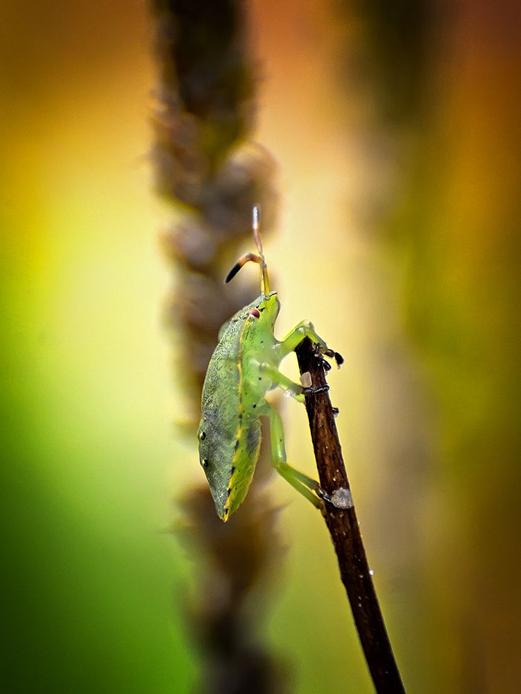 Фотография автора Игорь Иванов