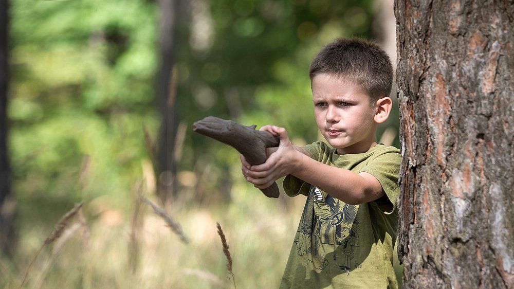 Стой! Кто идёт?