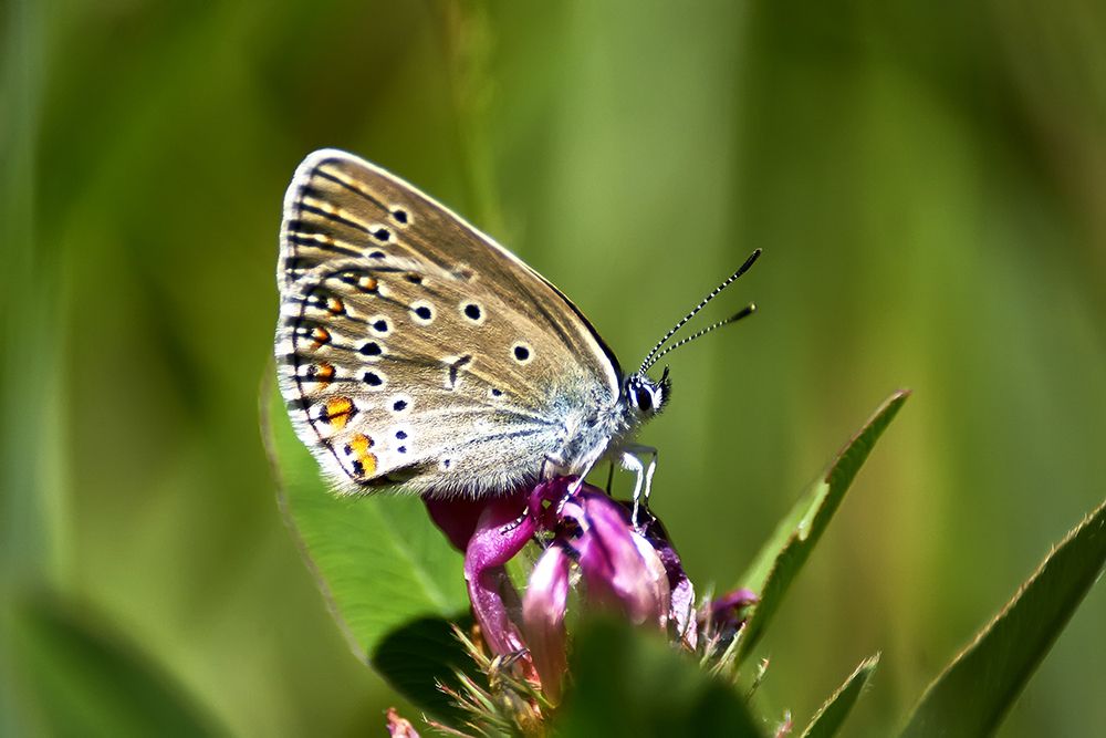 Фотография автора Игорь Иванов