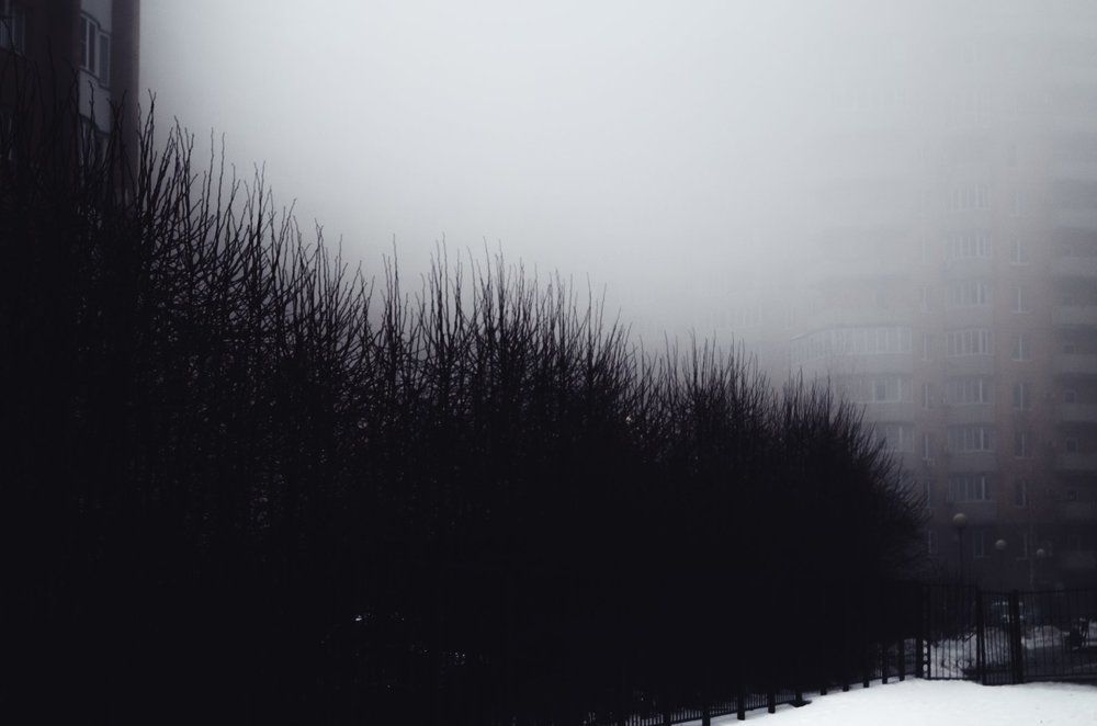 Photograph by Евгений Мокроусов