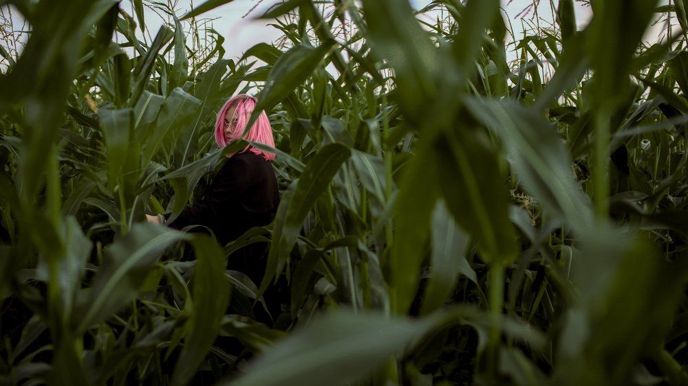 Photograph by Аверин Максим