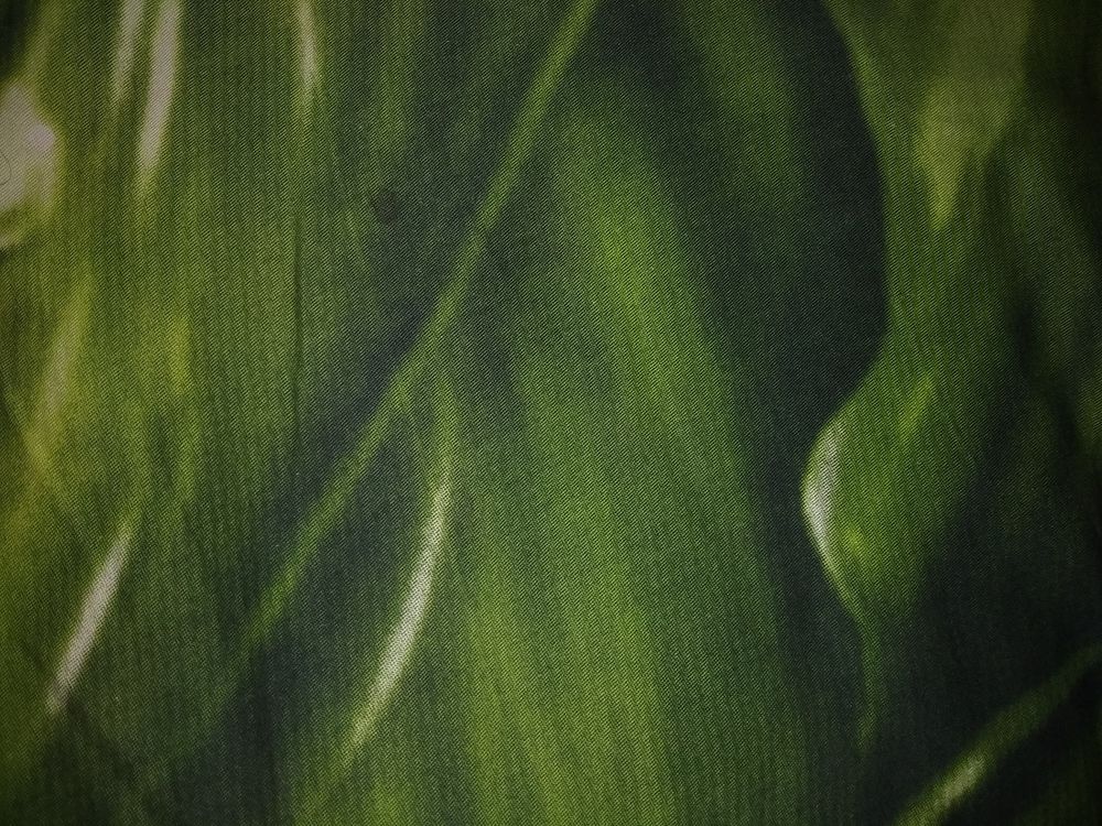 When life is green on a sudden