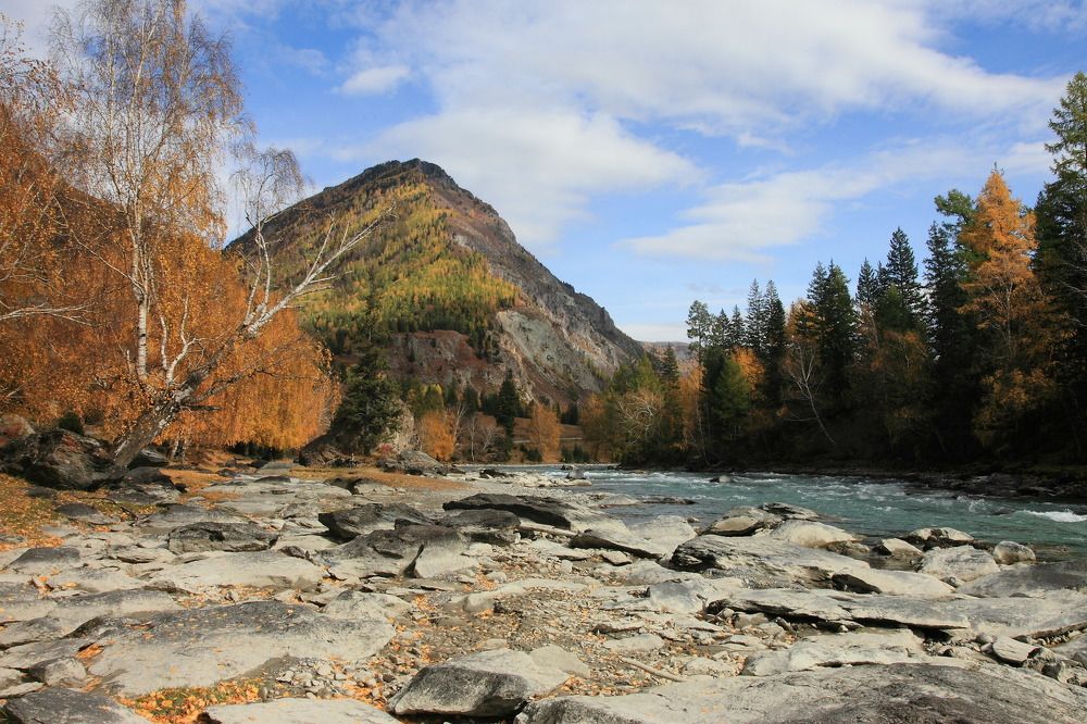 Altay