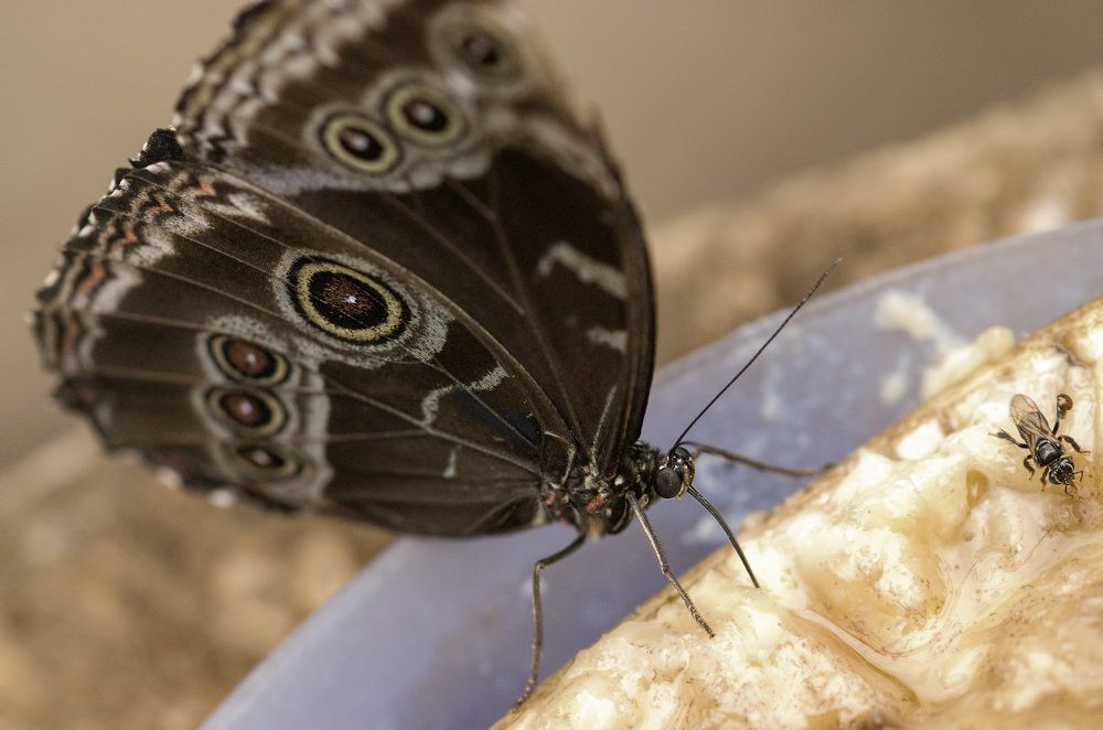 Photograph by Irina Grigoryeva