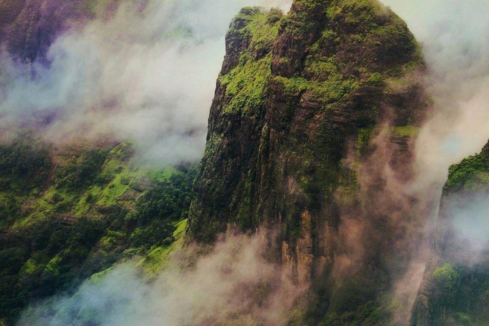 Beautiful Depth of nature in Fog...