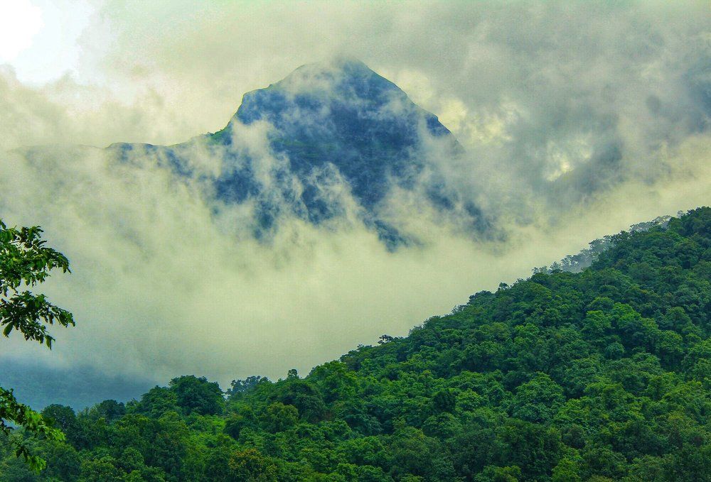 Fogy Malshej Ghat looks like Heaven.