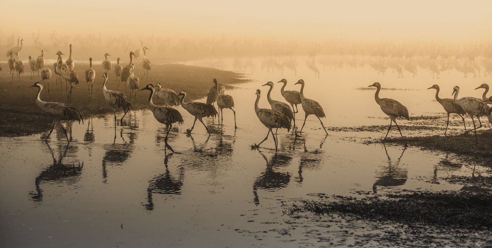 Photograph by Jacob Segal