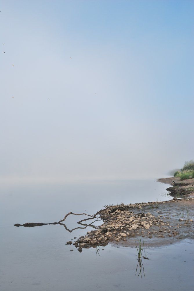 Утро раннее, туманное