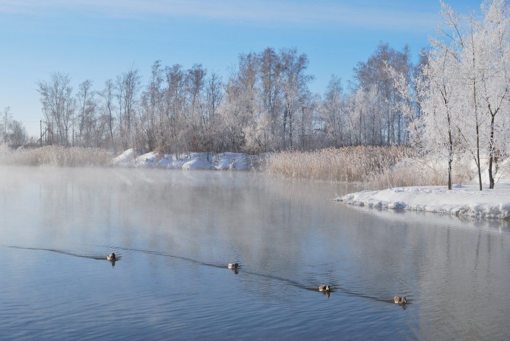 Зимний туман