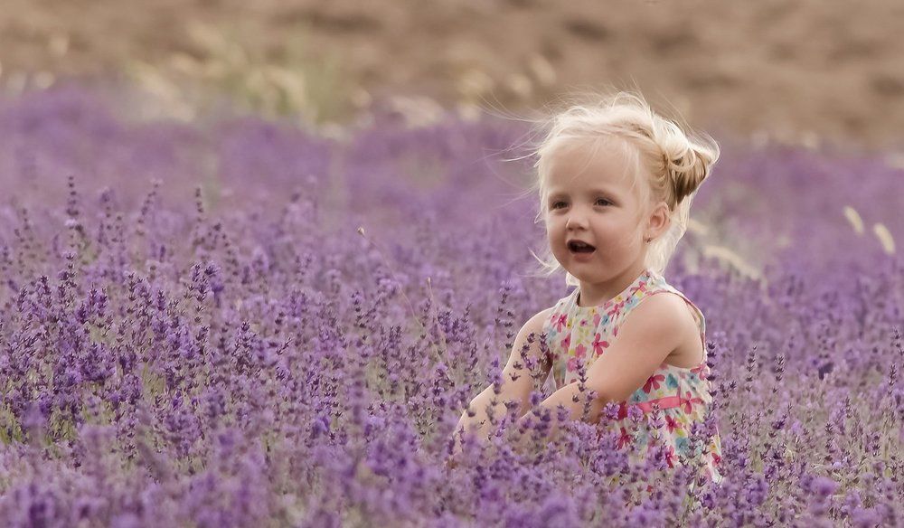 В аромате лаванды