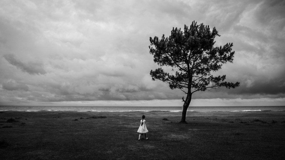 lonely tree