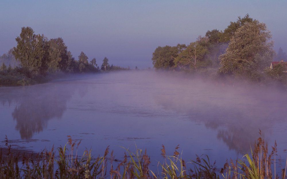 "В туманной тишине"