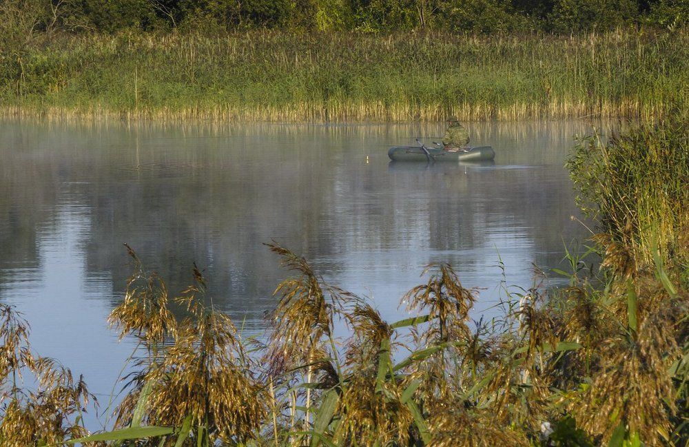 Туманное утро