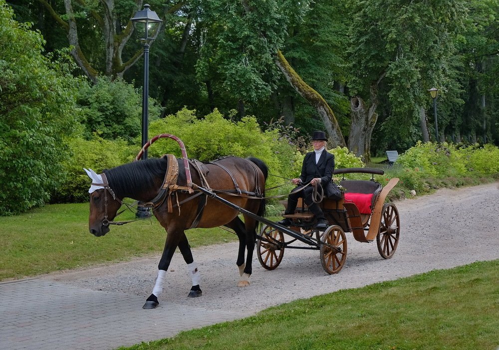 В СТАРОМ  ЗАМКЕ...