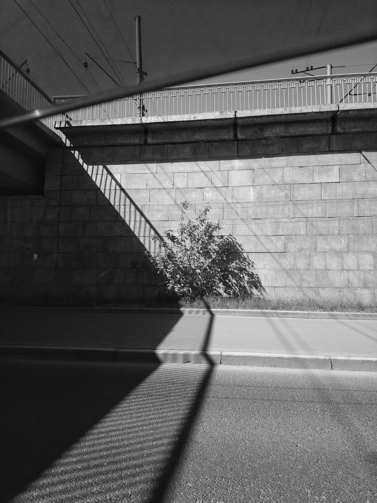 От жары под мост