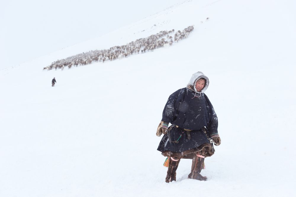 Удачный денёк