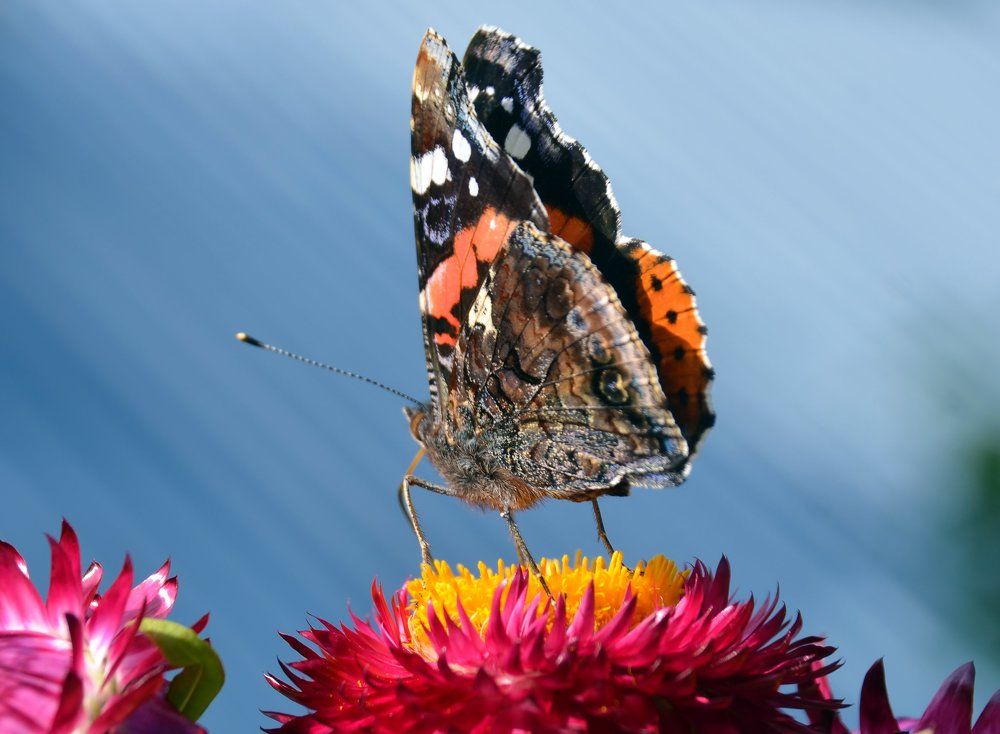 лучам навстречу...