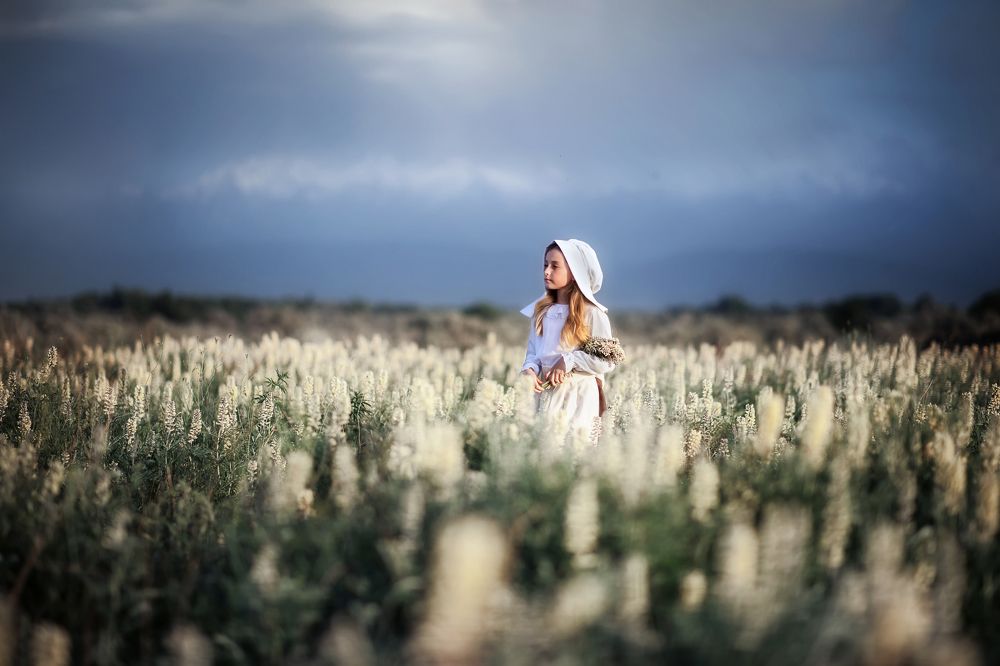 Перед бурей