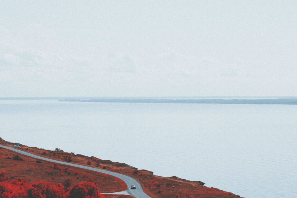 Photograph by Nik To