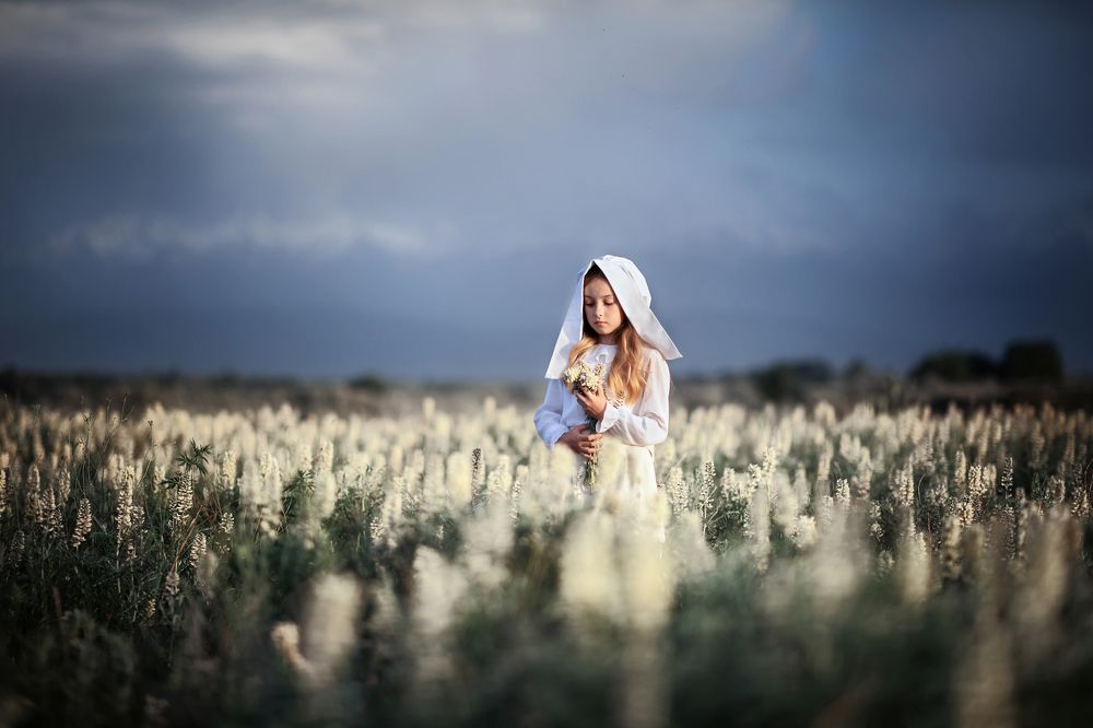 Перед бурей