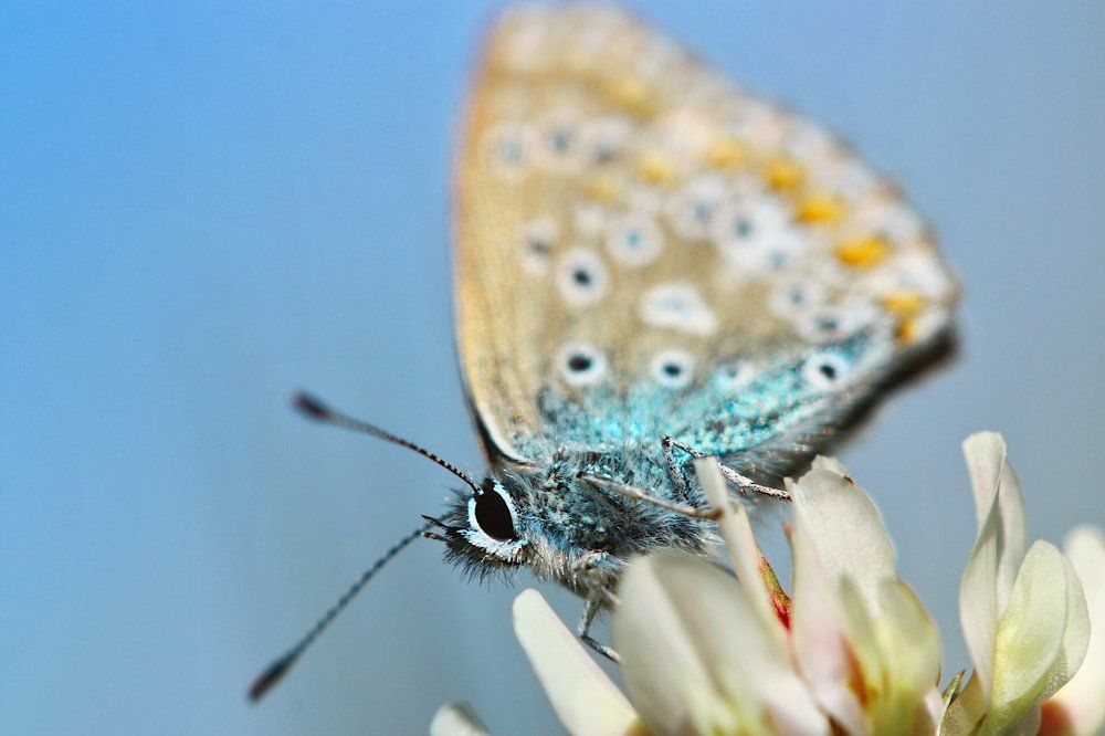 Photograph by Людмила Гудина