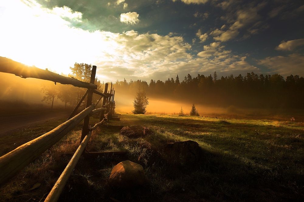 Утренний туман