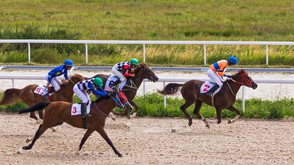 Фотография автора Zakharov Armen