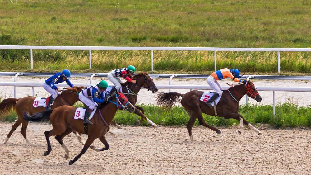 Фотография автора Zakharov Armen