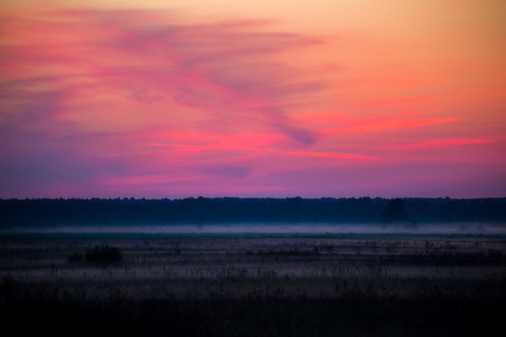 Photograph by Илона Дунаева