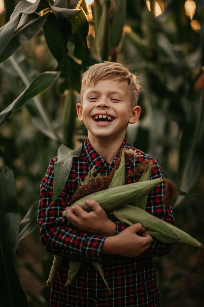 дети в кукурузе