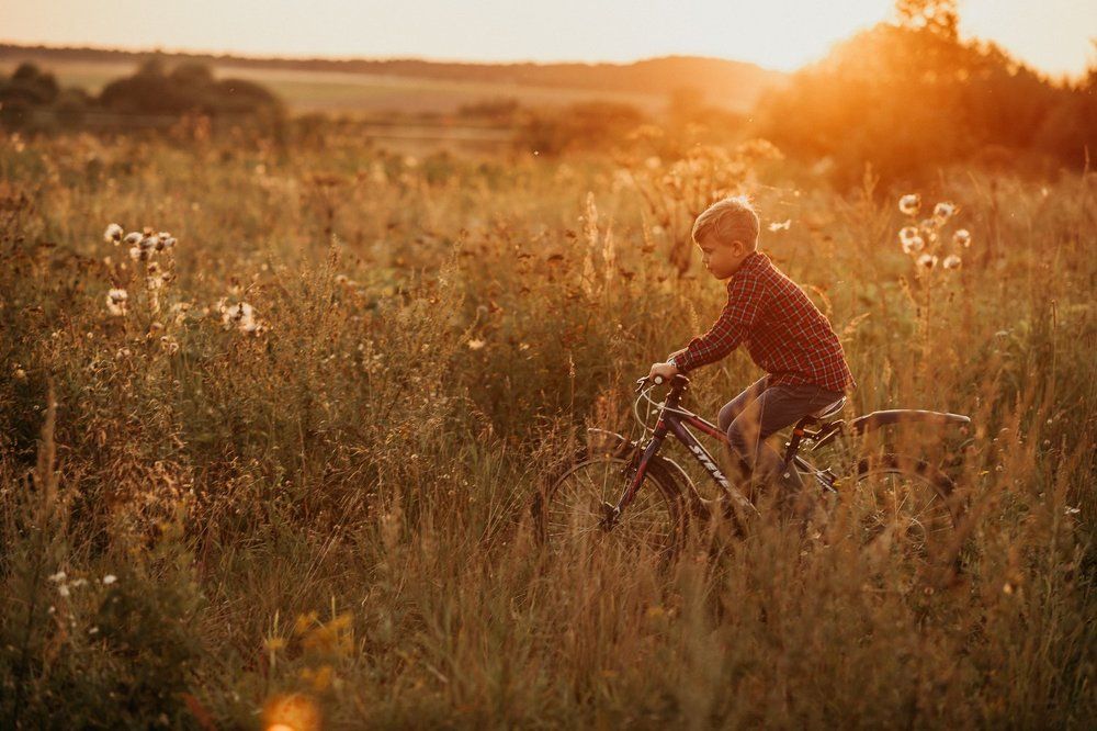 На велосипеде