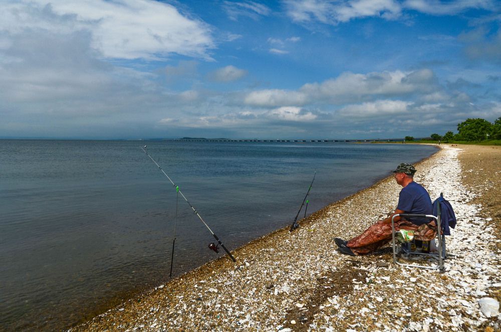 Ловись рыбка большая и малая!