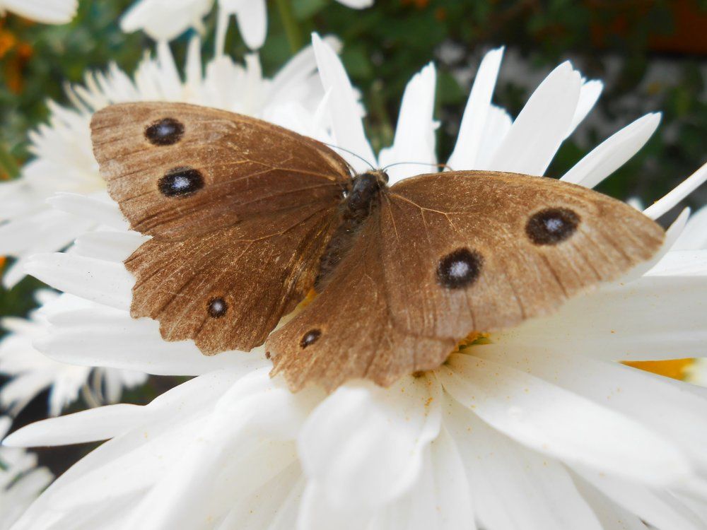 Photograph by Алёна Пестерева