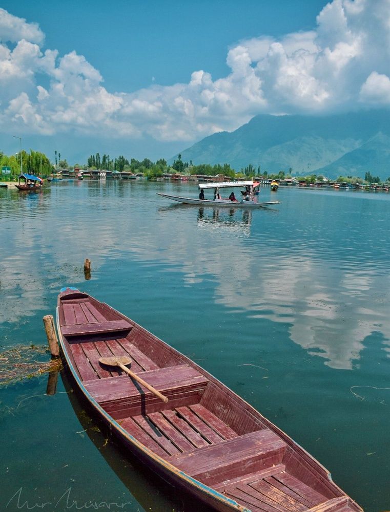 A day in the Dal lake