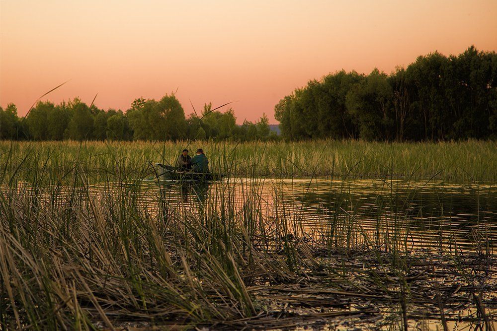 Вечерний клев