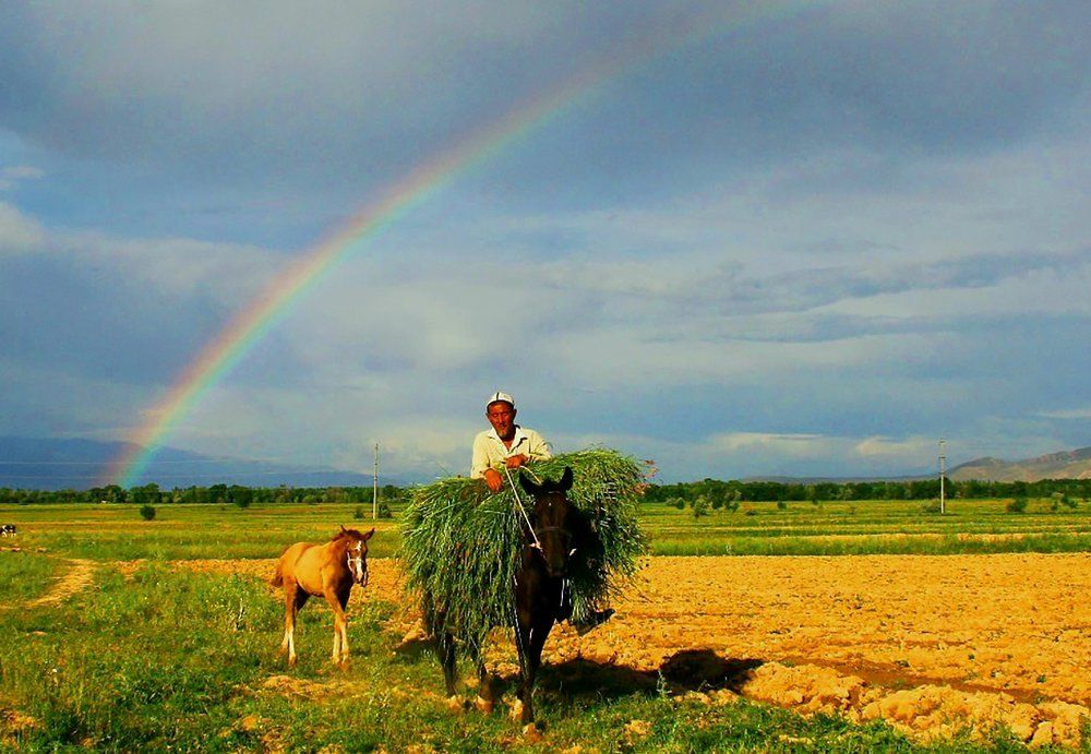 После дождя