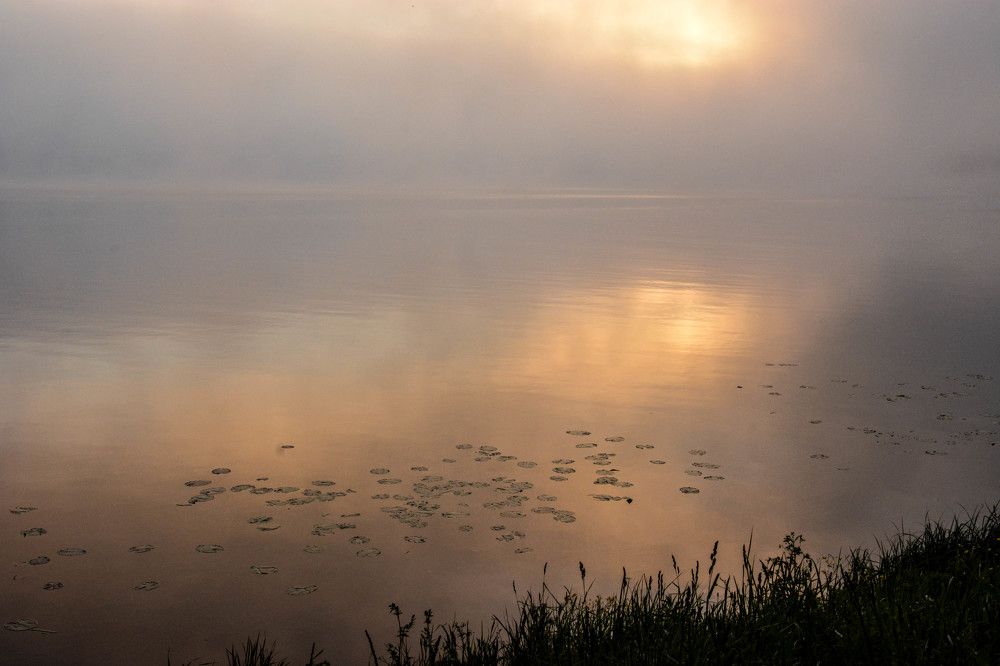 Туман-туман-туман...