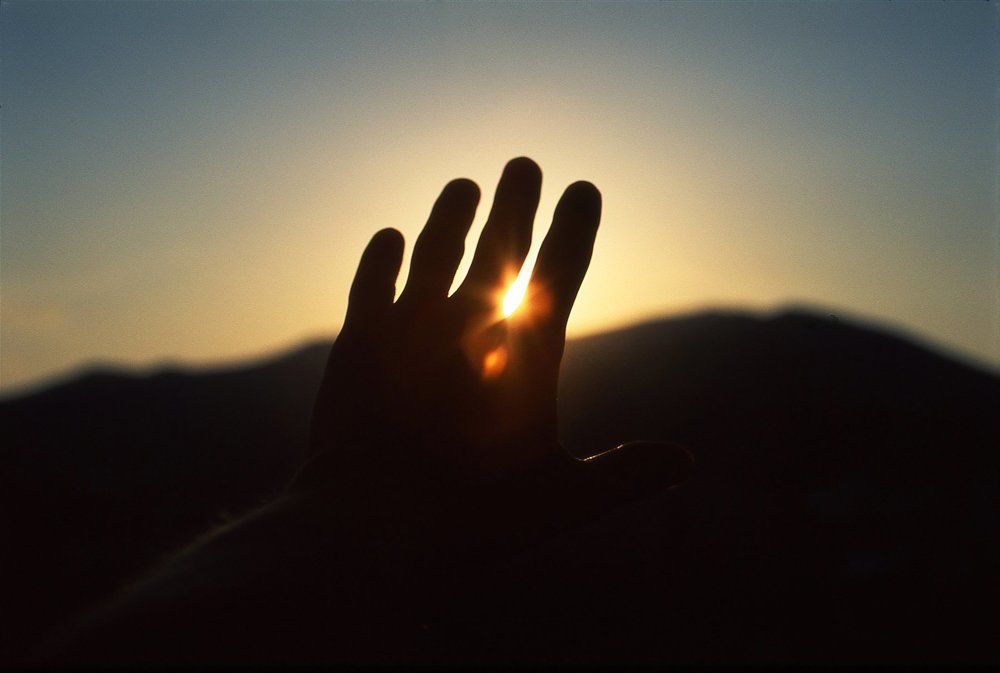 В погоне за солнцем