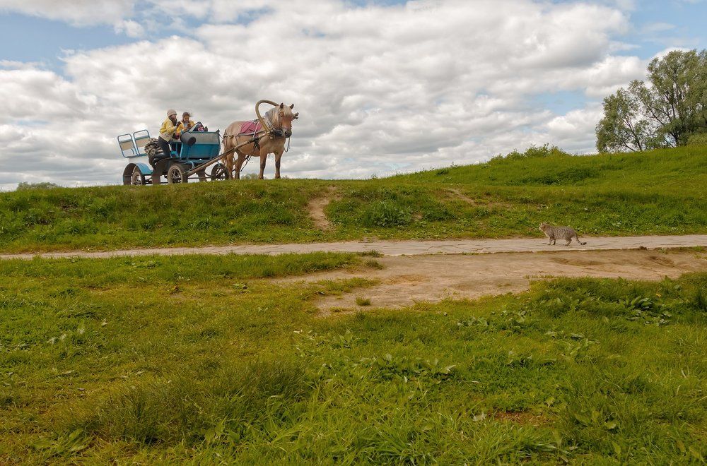 Photograph by Чунина Наталья