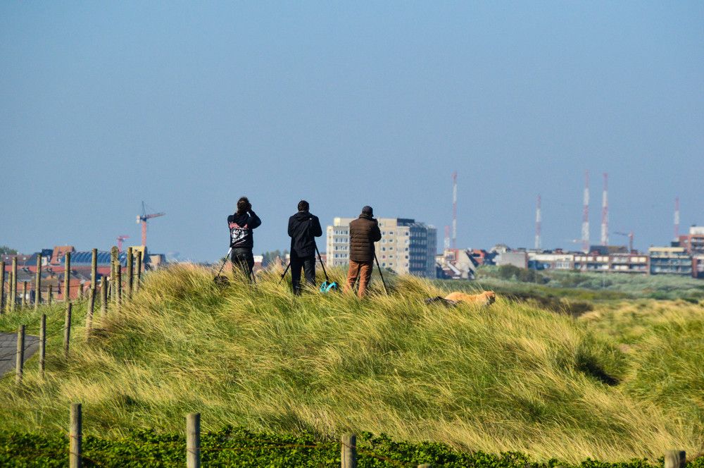 Ловцы кадра