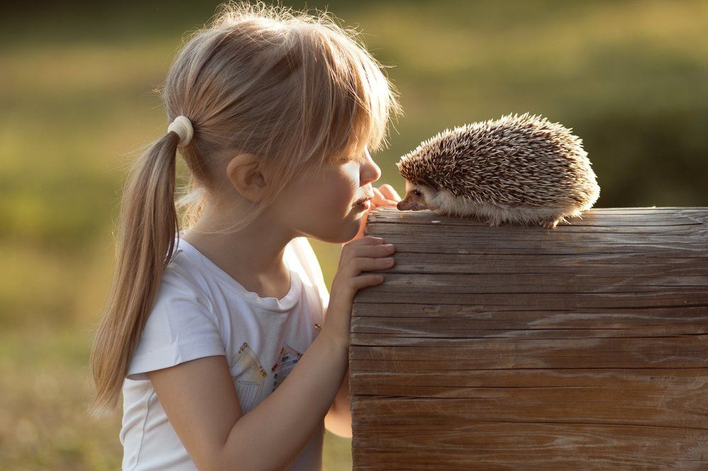 Здравствуй, друг!