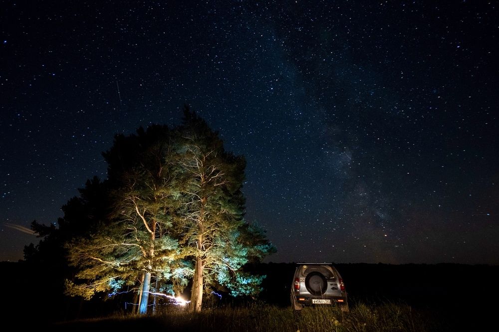 Pine trees and stars