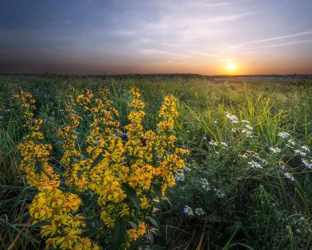 Летний закат