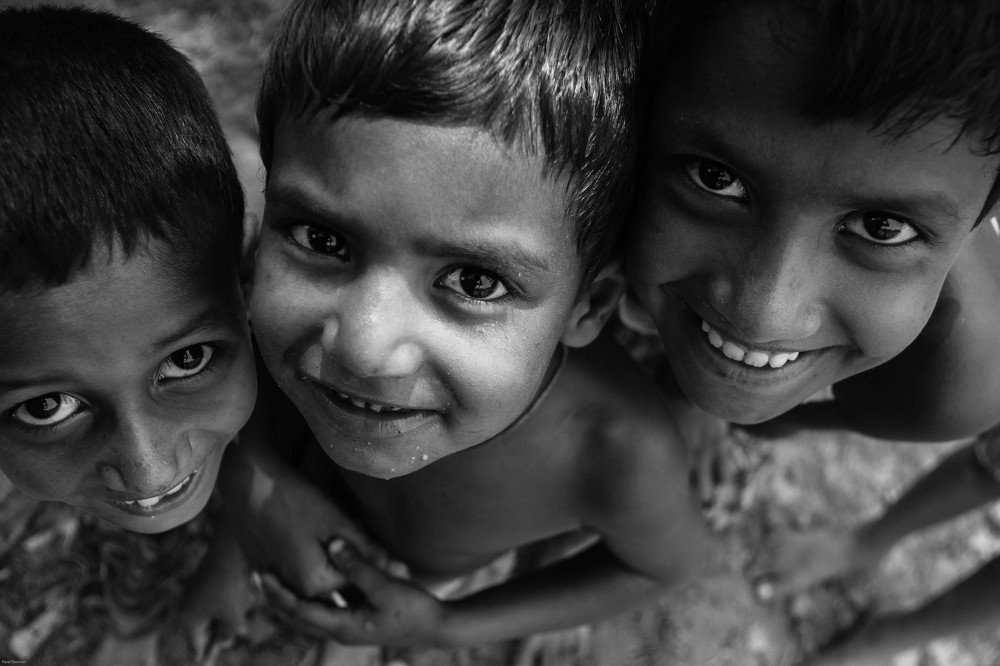 Fun and Curiosity. . .