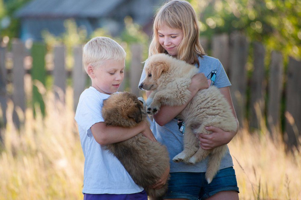 Братья и сестры