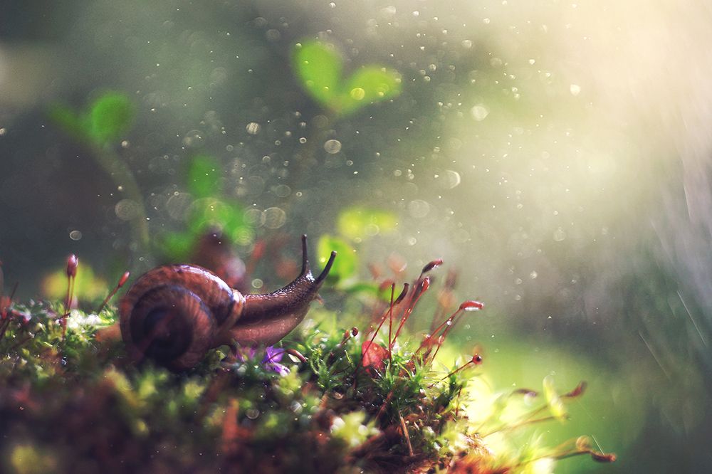 Волшебный день.